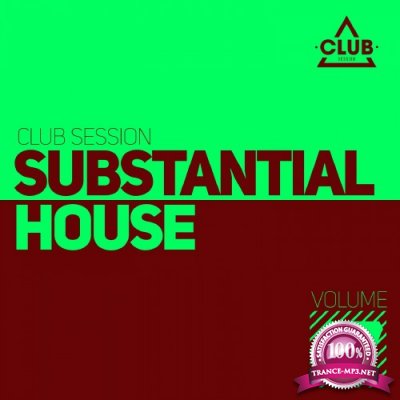 Substantial House, Vol. 17 (2016)
