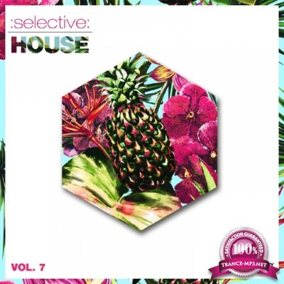 Selective House Vol 7 (2016)