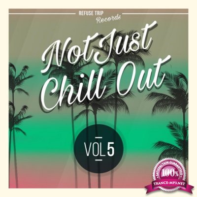 Not Just Chill Out Vol. 5 (2016)