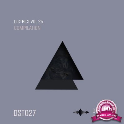 District 25 (2016)