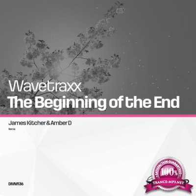 Wavetraxx - The Beginning Of The End (2016)