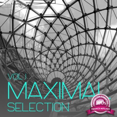 Maximal Selection, Vol. 1 - Minimal Tunes (2016)