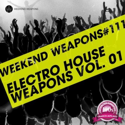 Electro House Weapons Volume 1 (2016)