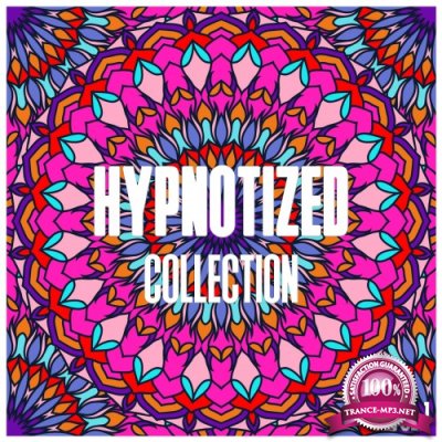 Hypnotized Collection, Vol. 1 - Selection of House Music (2016)