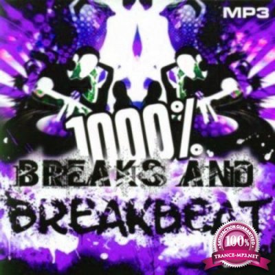 1000 % BreakBeat Vol. 105 (2016)