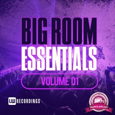 Big Room Essentials, Vol. 01(2016)