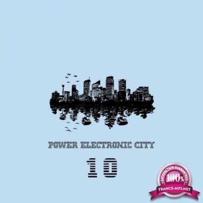 Power Electronic City, Vol. 10 (2016)