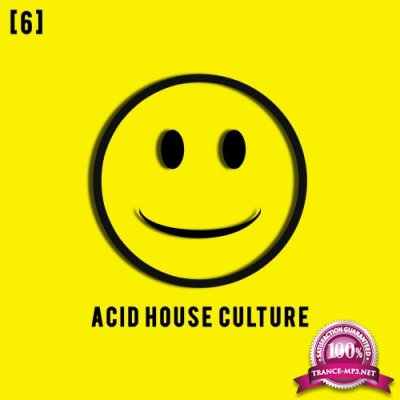 Acid House Culture, Vol. 6 (2016)