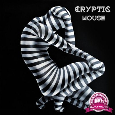 Cryptic House (2016)