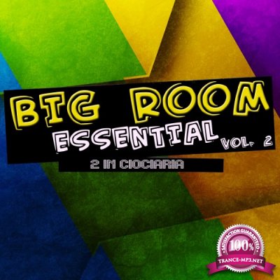 Big Room Essential, Vol. 2 (2016)