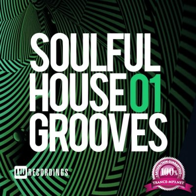 Soulful House Grooves, Vol. 01 (2016)