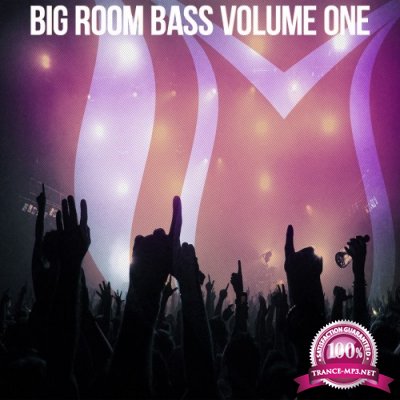 Big Room Bass, Vol. 1 (2016)