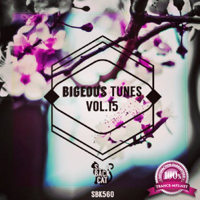 Bigeous Tunes, Vol. 15 (2016)
