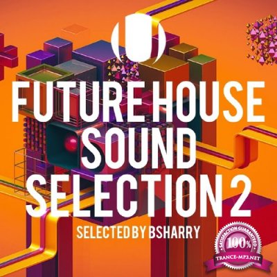 Future House Sound Selection, Vol. 2 (Selected by Bsharry) (2016)