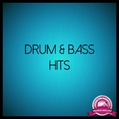 Drum & Bass Hits, Vol. 19 (2016)