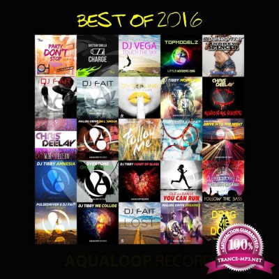 Best Of 2016 (Aqualoop) (2016)