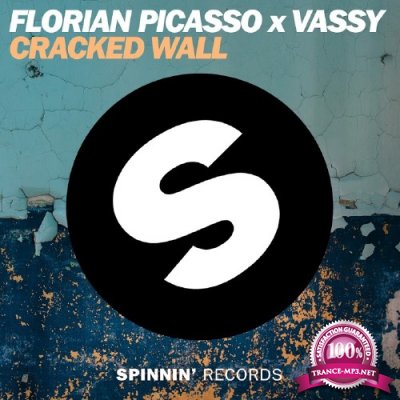 Florian Picasso x VASSY - Cracked Wall (2016)