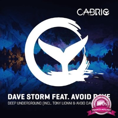 Dave Storm feat. Avoid Dave Acid Mix - Deep Underground (2016)