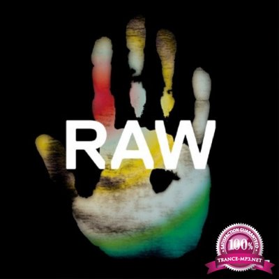 The Southern - Raw 017 (2016)