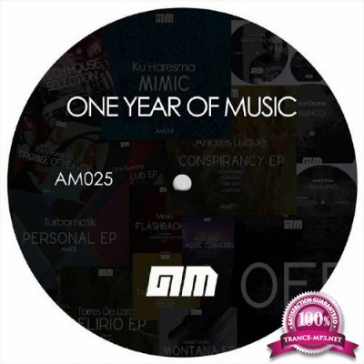 ONE YEAR OF MUSIC (2016)