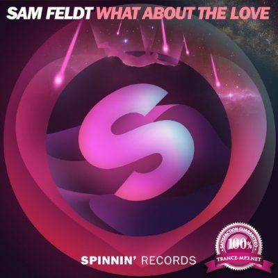 Sam Feldt - What About The Love (2016)