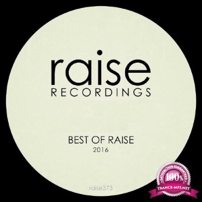 Best of Raise Recordings 2016 (2016)