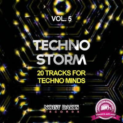 Techno Storm, Vol. 5 (20 Tracks for Techno Minds) (2016)