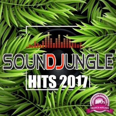 Soundjungle: Hits 2017 (2017)