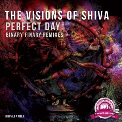  The Visions Of Shiva - Perfect Day (Binary Finary's Perfect Sunrise Remix) (2017)