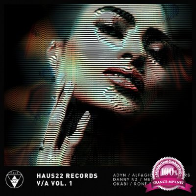 Haus22 Records, Vol. 1 (2017)