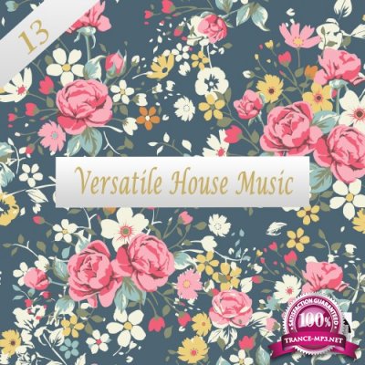 Versatile House Music, Vol. 13 (2017)