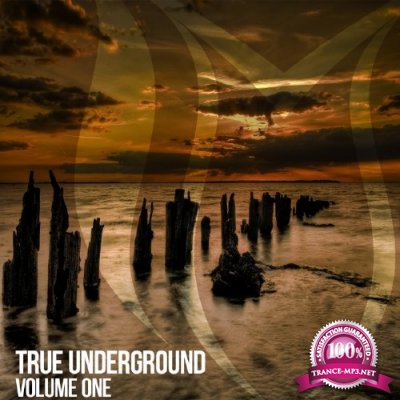 True Underground, Vol. 1 (2017)