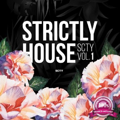 Strictly House SCTY, Vol. 1 (2017)