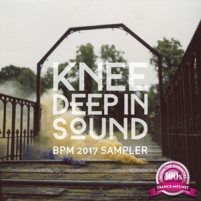 Knee Deep in Sound: BPM 2017 Sampler (2017)