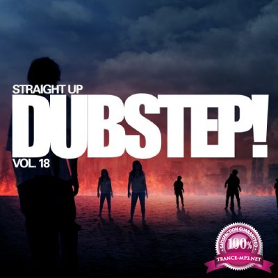 Straight Dubstep Vol. 18 (2017)