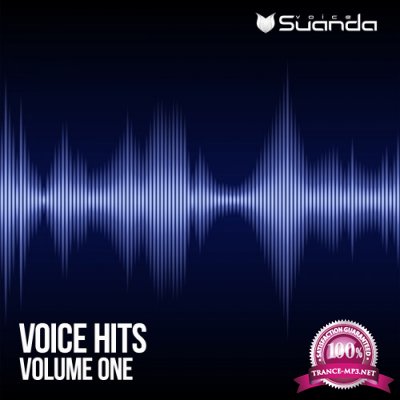 Voice Hits Vol 1 (2017)