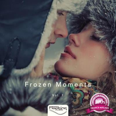 Frozen Moments, Vol. 1 (2017)