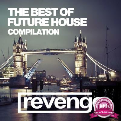 The Best of Future House 2017 (2017)
