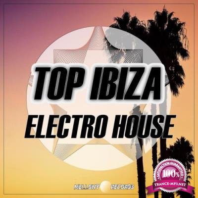 Top Ibiza Electro House (2017)