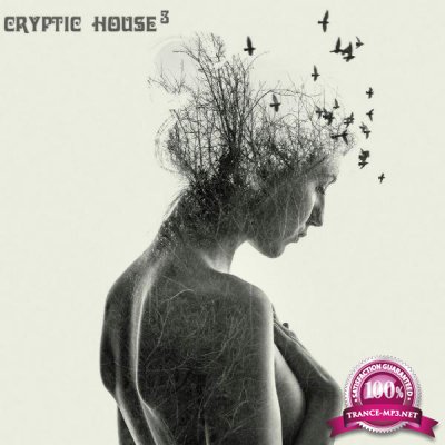 Cryptic House Vol. 3 (2017) 