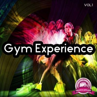 Gym Experience Vol.1 (2017)