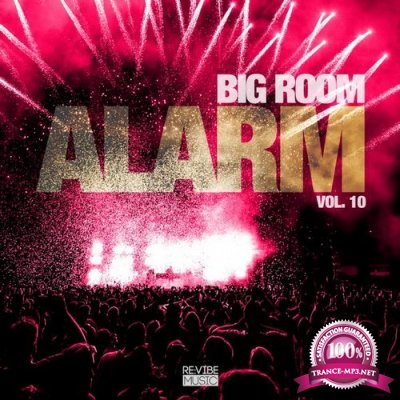 Big Room Alarm Vol 10 (2017)