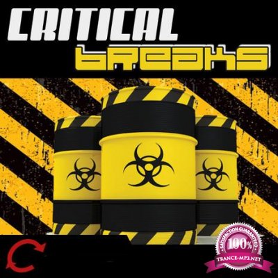 Critical Breaks Vol.1 (2017)