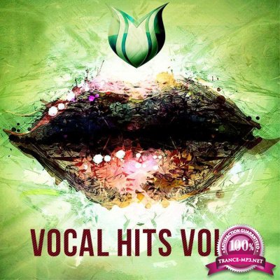 Vocal Hits, Vol. 3 (2017)