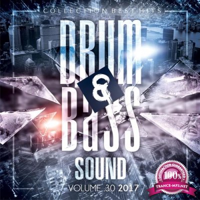 DNB Sound VoL.30 (2017)
