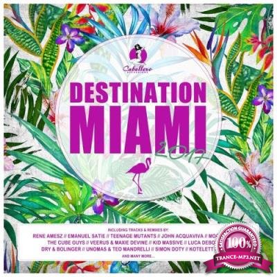 Destination: Miami 2017 (2017)