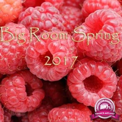 Big Room Spring 2017 (2017)