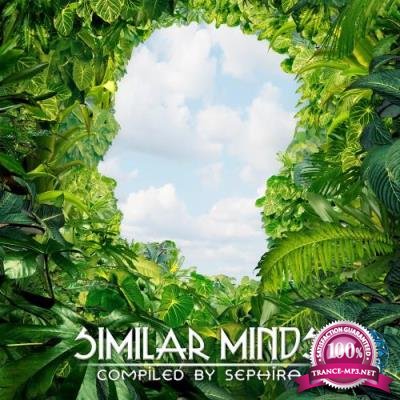 Similar Minds (Compiled by Sephira) (2017)