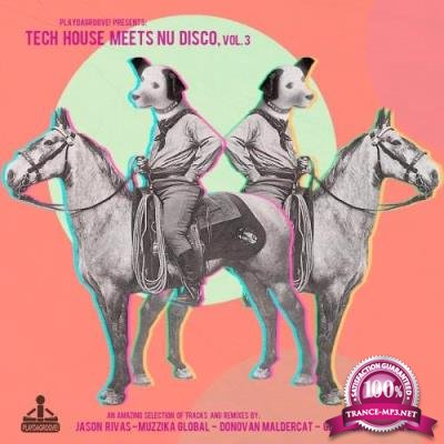 Tech House Meets Nu Disco, Vol. 3 (2017)