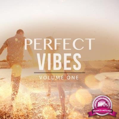 Perfect Vibes, Vol. 1 (Selection Of Finest Deep House & House Music) (2017)